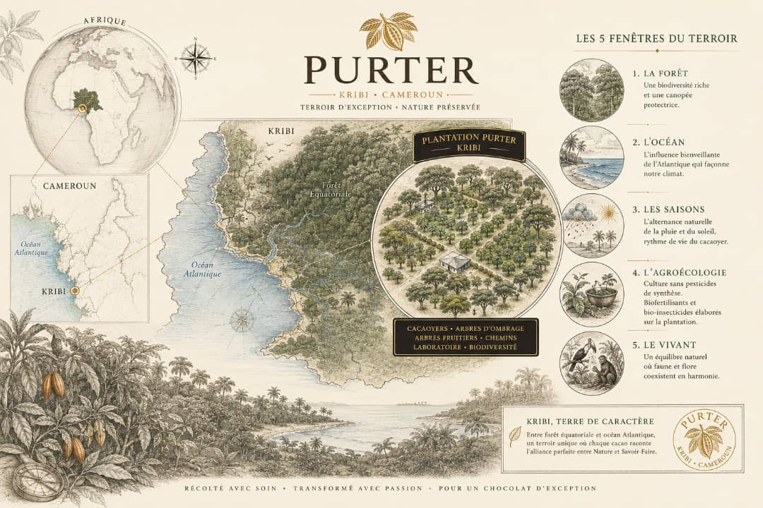 Carte du terroir de Kribi : le Cameroun, la plantation PURTER, la forêt équatoriale et l'océan Atlantique